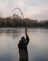 Spomb S Rods
