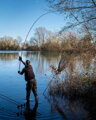 Fox EOS X Rods