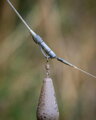 Fox Edges Tubing Lead Clip Ready Rig