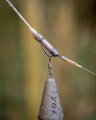Fox Edges Tubing Lead Clip Ready Rig