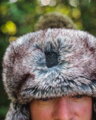 Fox Trapper Hat – Green