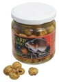 CARP EXPERT TIGRÍ ORECH V NÁLEVE