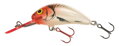 SALMO HORNET