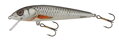 Salmo Minnow 6 cm F, S