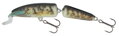 Salmo Fanatic 7cm, F
