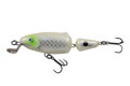 Salmo Frisky