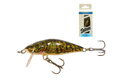 SALMO BULLHEAD