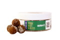 THE BIG ONE HOOK BAIT IN SALT - SOĽENÉ BOILIES