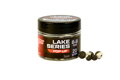 BENZAR LAKE SERIES POP-UP AND WAFTER