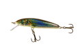 Salmo Minnow 7 cm F, S