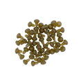 Trakker Gumový stoper Hook Beads 50ks