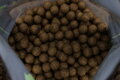 Nikl Economic Feed Boilie Rape Cloud 5kg