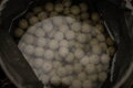 Nikl Economic Feed Boilie Rape Cloud 5kg