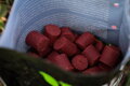 Nikl Pelety Strawberry 1kg