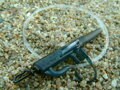 Carp´R´Us Hotová montáž Snag Clip system 30lbs