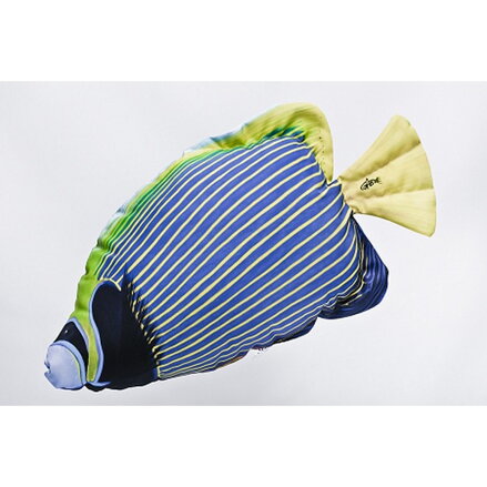 VANKÚŠ V TVARE RYBY - EMPEROR ANGELFISH WHITE