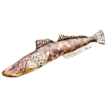 VANKÚŠ V TVARE RYBY – FLATHEAD 97 CM