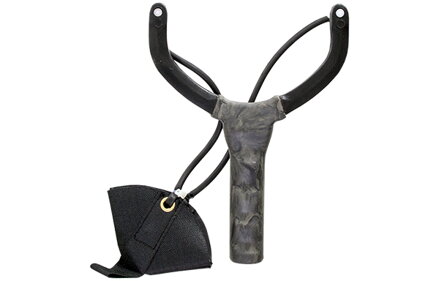 CARP EXPERT PRAK ROBUST