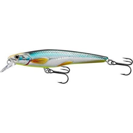 LIVETARGET RAINBOW SMELT JERKBAIT SUSPENDING