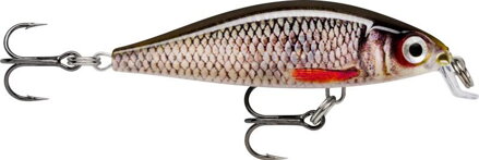 X- Light Minnow 05