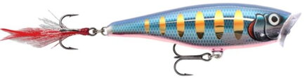 Skitter Pop Top Water Fresh 05