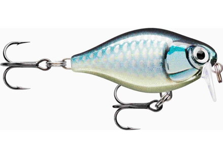 X- Light Crank Shallow Runner 03