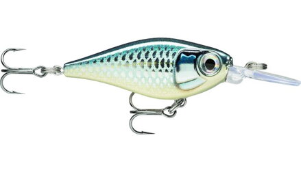 X-Light Shad 04