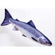 VANKÚŠ - THE ATLANTIC SALMON 90CM