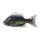 LIVETARGET SUNFISH UNRIGGED SINKING