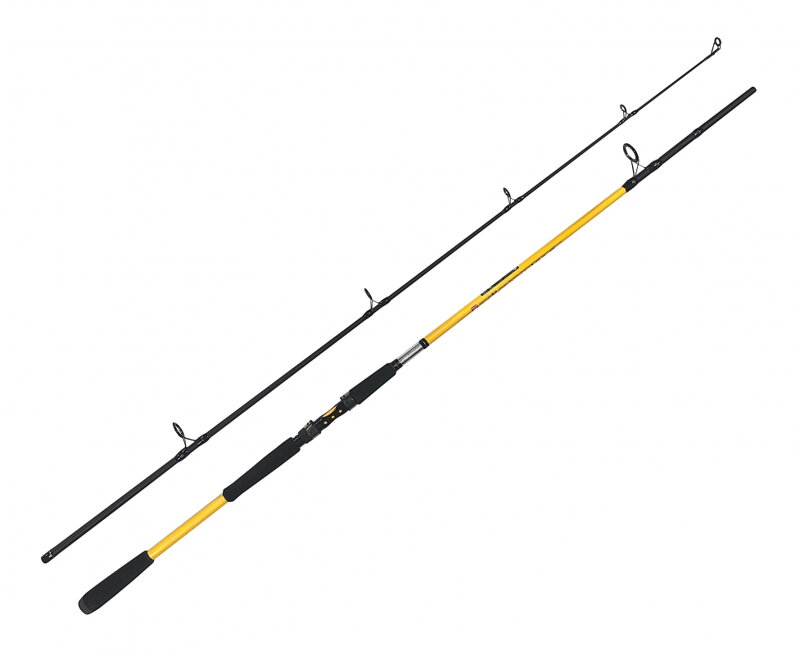 Zfish Prut Kodiak 2,40m / 100-250g