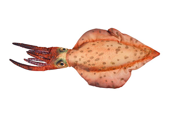 RYBÍ VANKÚŠ SÉPIA 76CM