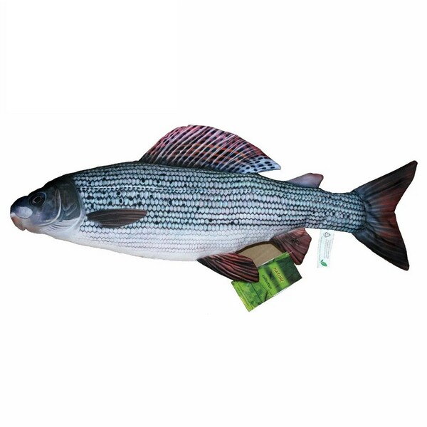 VANKÚŠ S MOTÍVOM RYBY – LIPEŇ TYMIANOVÝ 65 CM