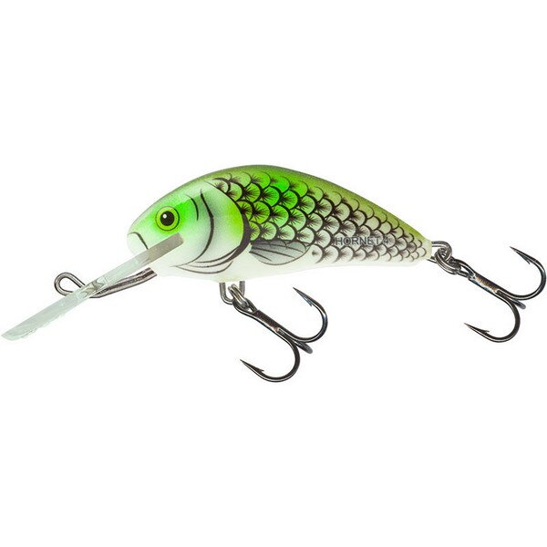SALMO HORNET