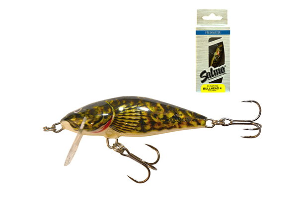 SALMO BULLHEAD