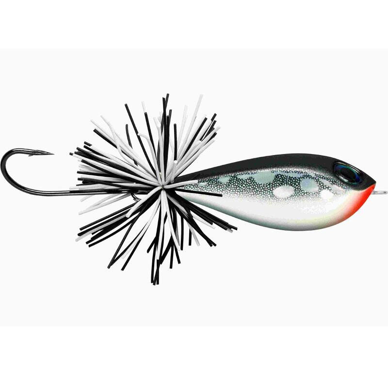 BX Skitter Frog 04