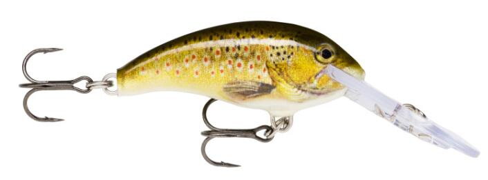Shad Dancer 07