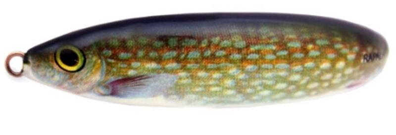 Minnow Spoon 08
