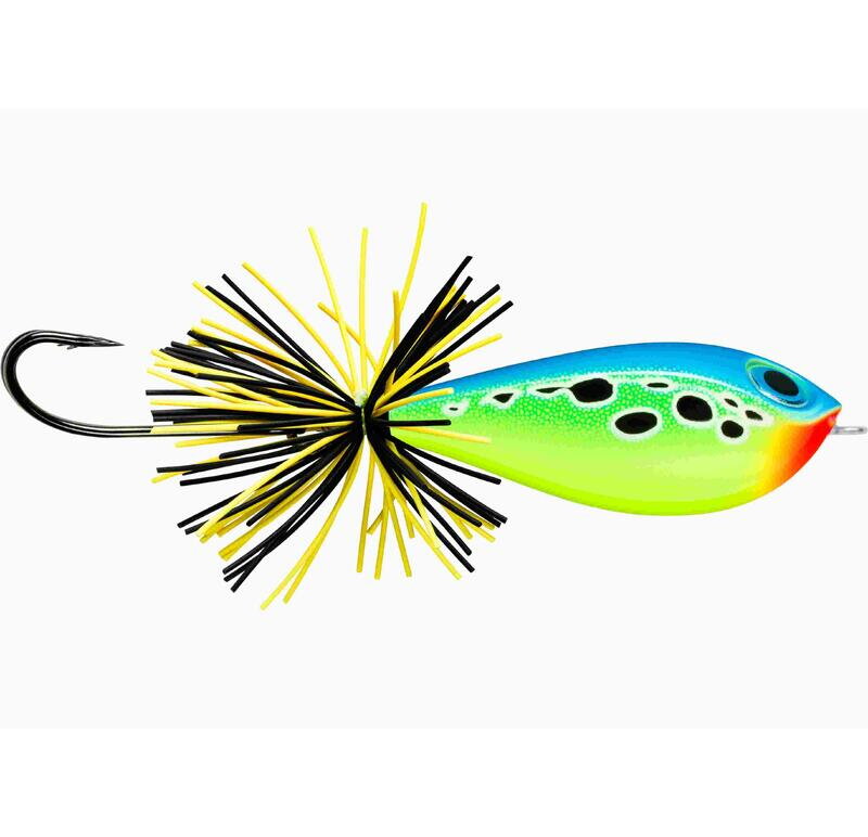 BX Skitter Frog 04