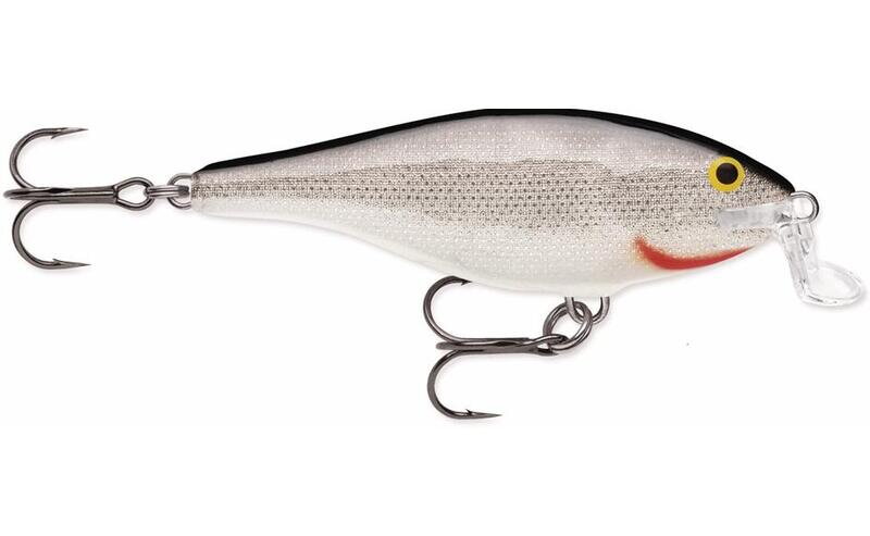 Shallow Shad Rap 09 Shallow Shad Rap 09