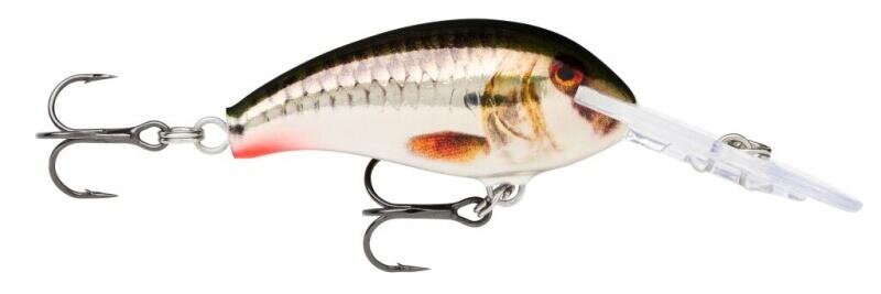 Shad Dancer 07 Shad Dancer 07