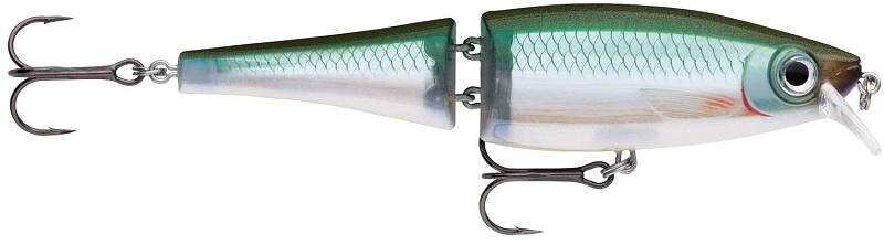 BX Swimmer 12 BX Swimmer 12